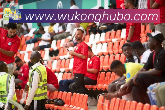 悟空体育平台生态图