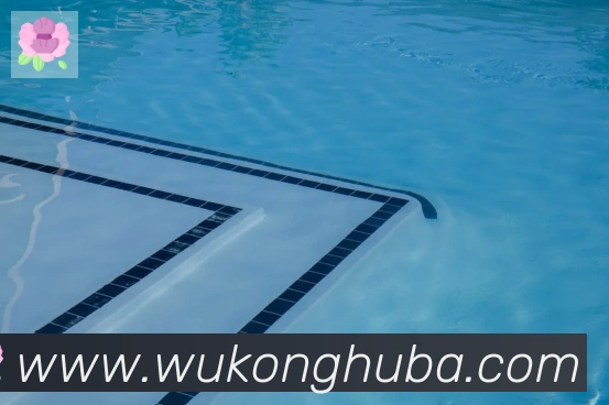 悟空体育APP 封面图