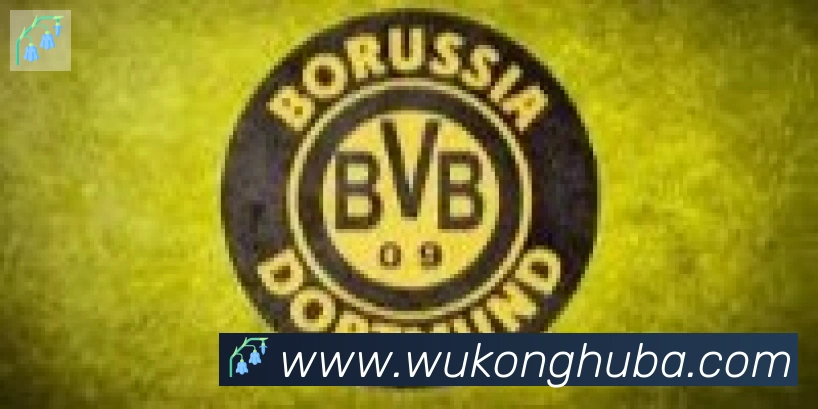 悟空体育合作伙伴