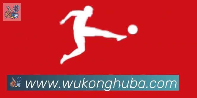 悟空体育合作伙伴