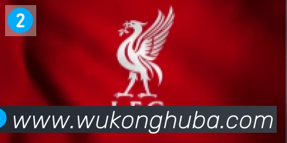 悟空体育合作伙伴